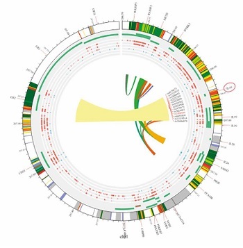 Figure from article: Association of tumor...