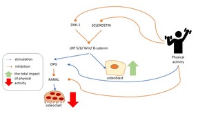 Figure from article: Ambiguities in the effect...