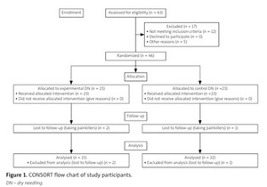 Effect of dry needling therapy on hip range of motion as a component of functional performance in patients with chronic low back pain: a randomized clinical trial