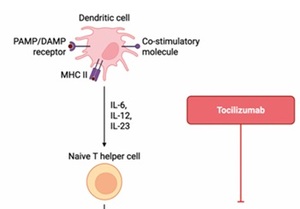 Figure from article: Janus kinase inhibitors in...