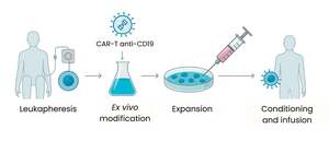 Figure from article: The role and potential of...